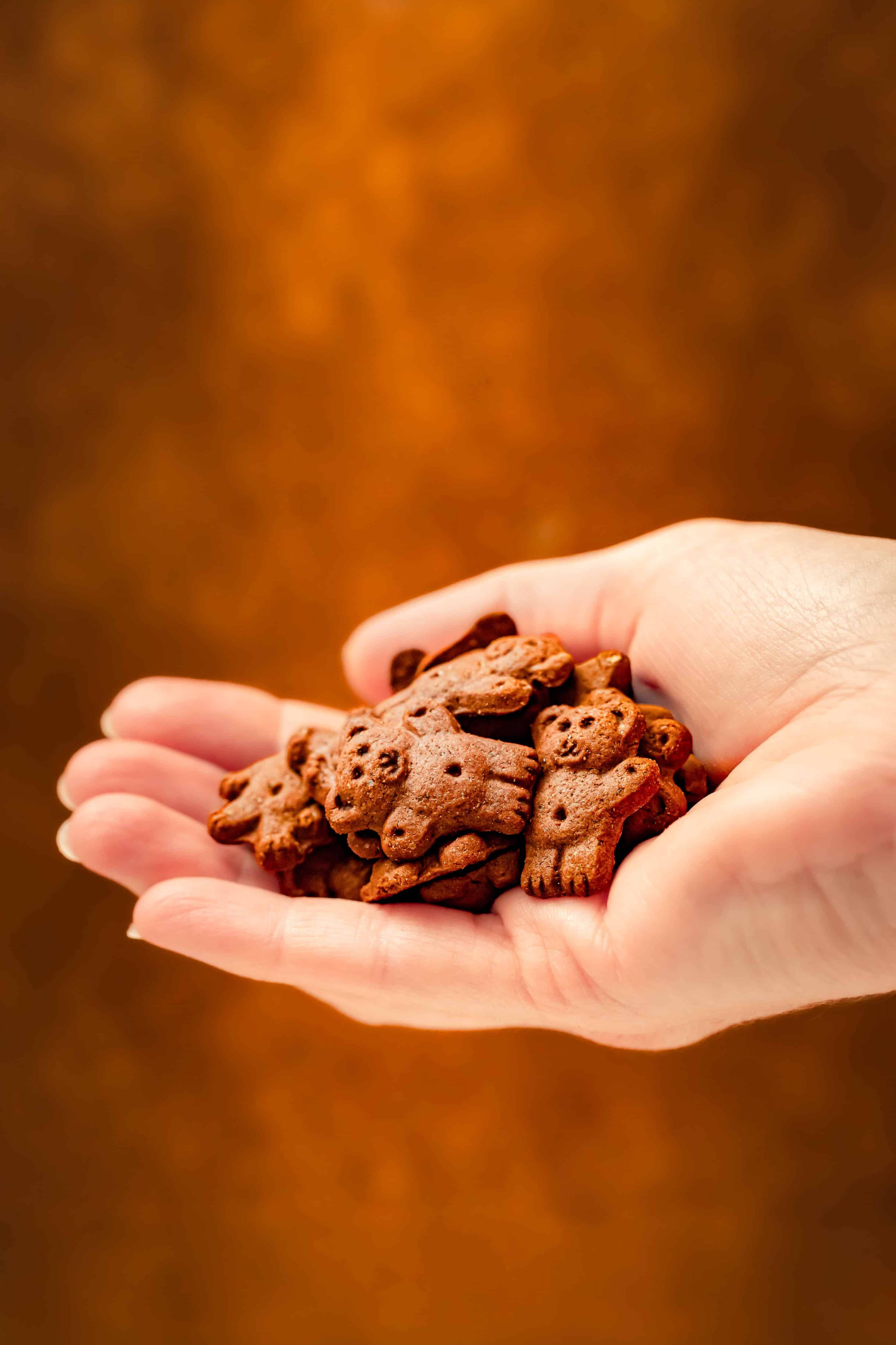 ourson-1 — Photographie culinaire Cathy Buffet