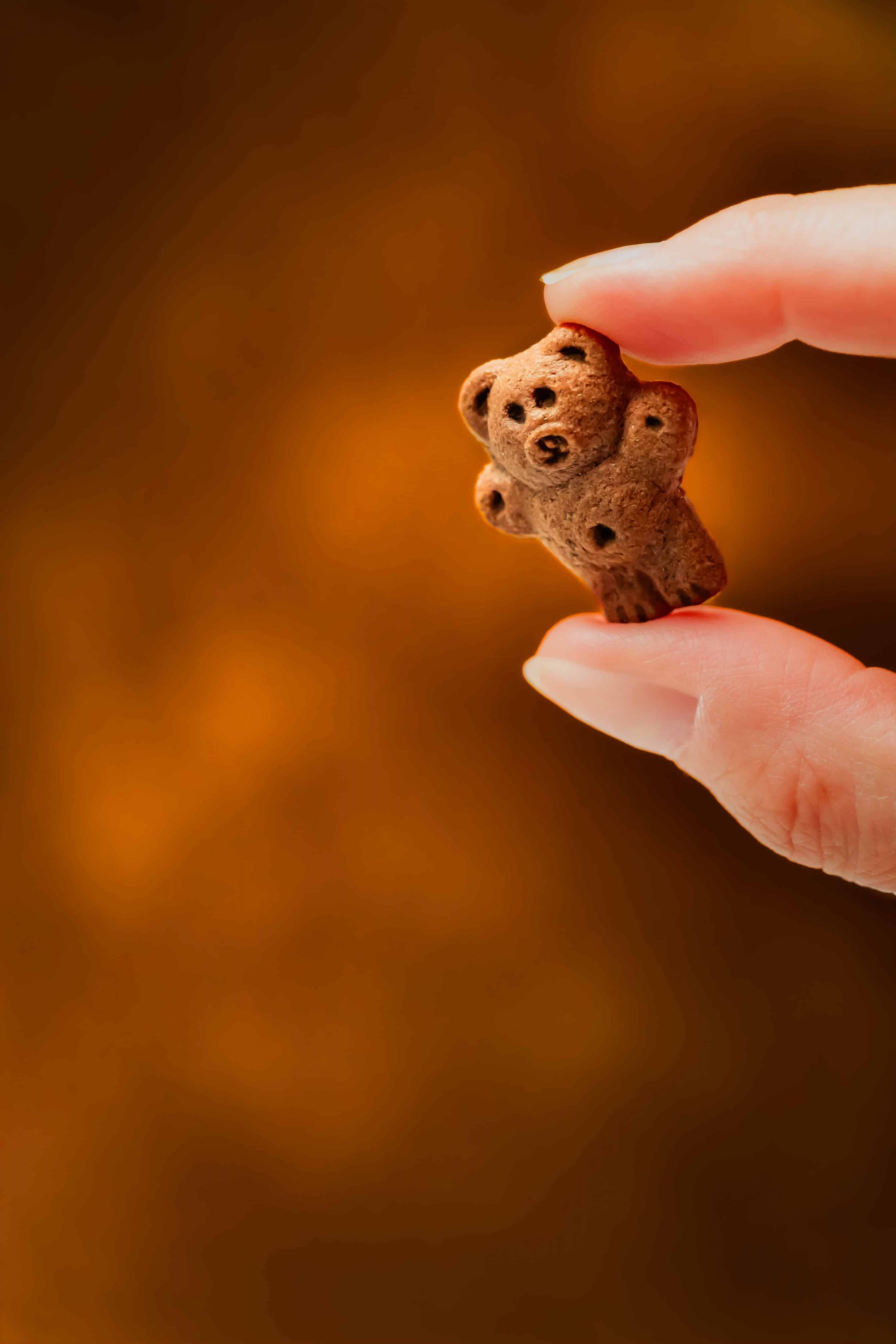ourson-4 — Photographie culinaire Cathy Buffet