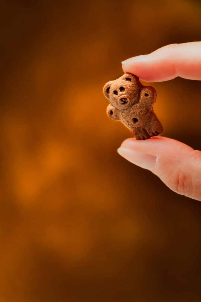 ourson-4 — Photographie culinaire Cathy Buffet